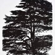 les arbres du bonheur II 27 x 37 cm gravure