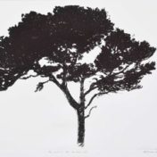 les arbres du bonheur VII gravure 23-5 x 31 cm copie